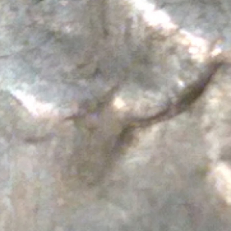 1983-D-Quarter-With-Double-Ear-I-Think